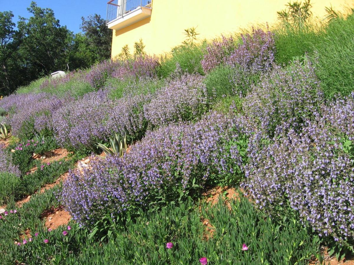 Villa Katarina Mošćenička Draga Dış mekan fotoğraf