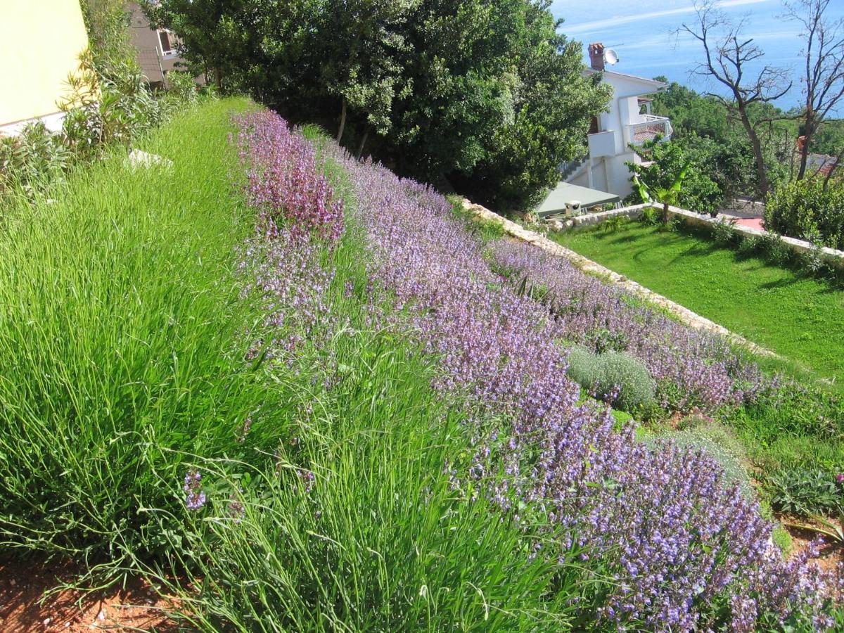 Villa Katarina Mošćenička Draga Dış mekan fotoğraf